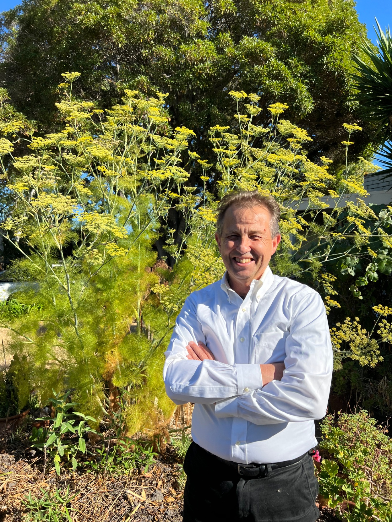 Bill Lambert, candidate for Mountain View Whisman School Board President 2026